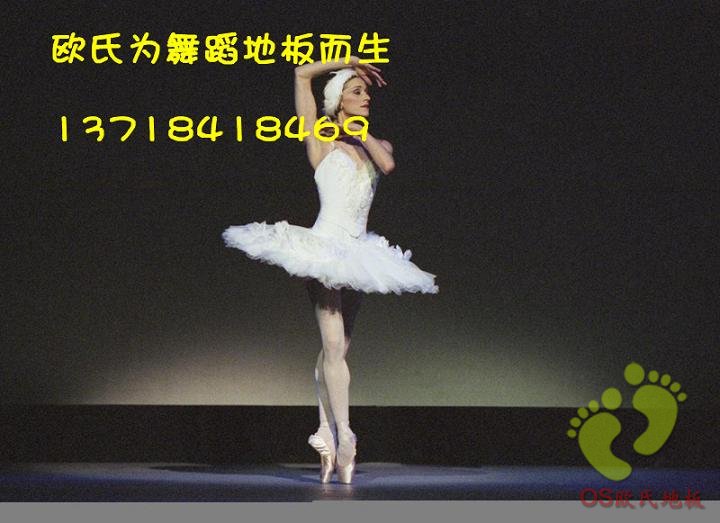 进口面层舞蹈地胶