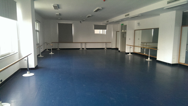 小香玉艺术学校舞蹈房地板案例