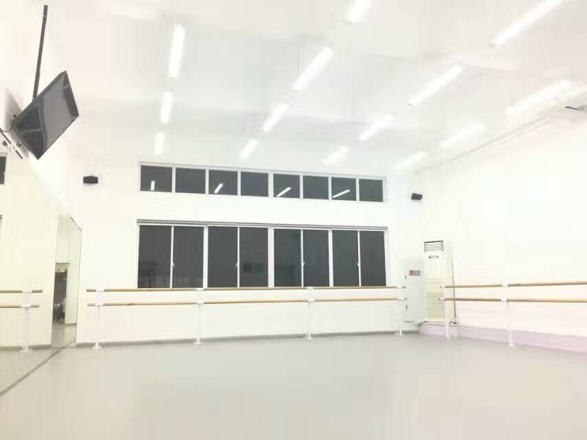 苏州克里斯塔乐芭蕾培训班舞蹈地胶成功案例