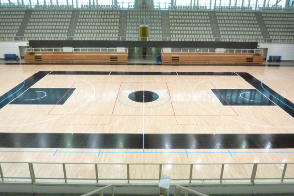 Basketball-finals-playoffs-aquila-trento-sports-flooring-dalla-riva-sportfloors-itay-2017.jpg