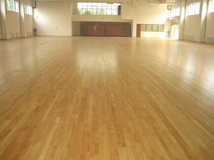 运动地板,运动木地板,实木运动地板,运动专用实木地板