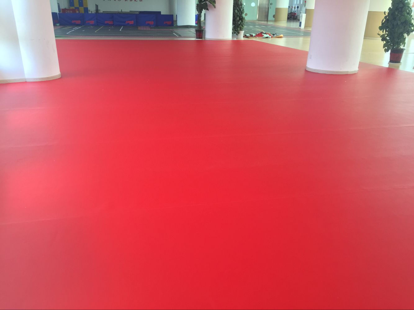 乒乓球地胶--鄂尔多斯市康巴什新区少年宫成功案例