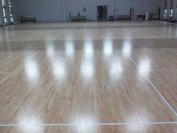 铜陵有色金属集团金冠铜业羽毛球球馆