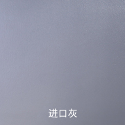 进口灰色舞蹈地胶